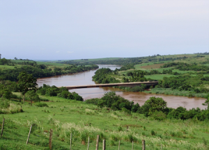 Exemplo de área ciliar a ser recuperada nas margens do Rio Piquiri, no Paraná